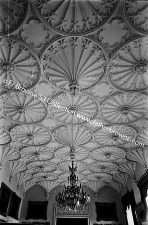 SHELTON ABBEY CEILING OF SALOON